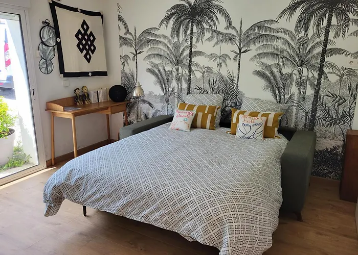 Affittacamere Indépendant Avec Terrasse à Juan Les Pins 3*