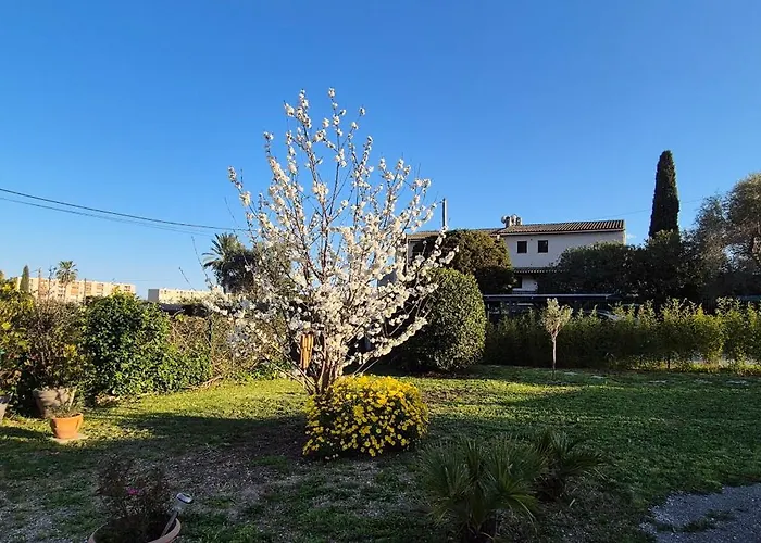 Affittacamere Indépendant Avec Terrasse à Juan Les Pins 3*